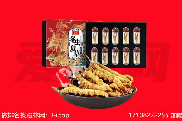 淮北市烈山回收虫草.jpg